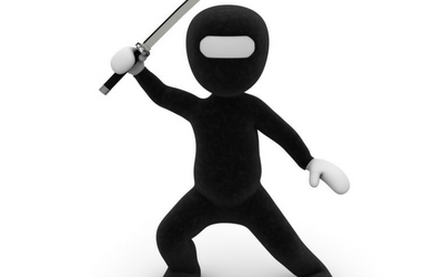 Ninjas, Bullies and Overnight Success…Oh My! – A Few Words on Working with Digital Marketers
